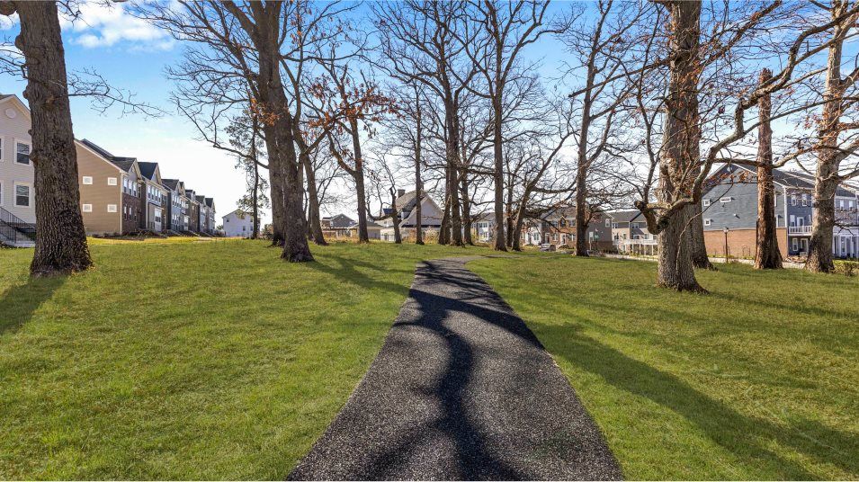 Patapsco Glen Trails Amenity