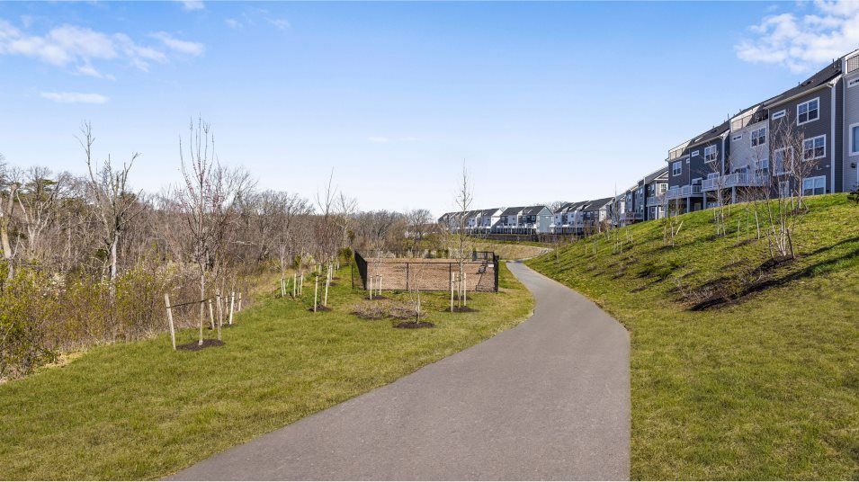 Patapsco Glen Trails Amenity