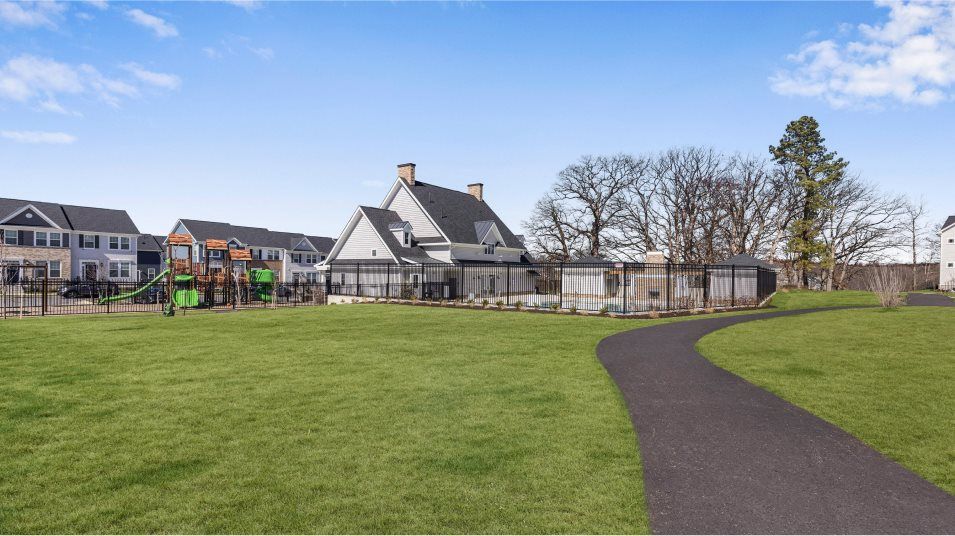 Patapsco Glen Trails Amenity