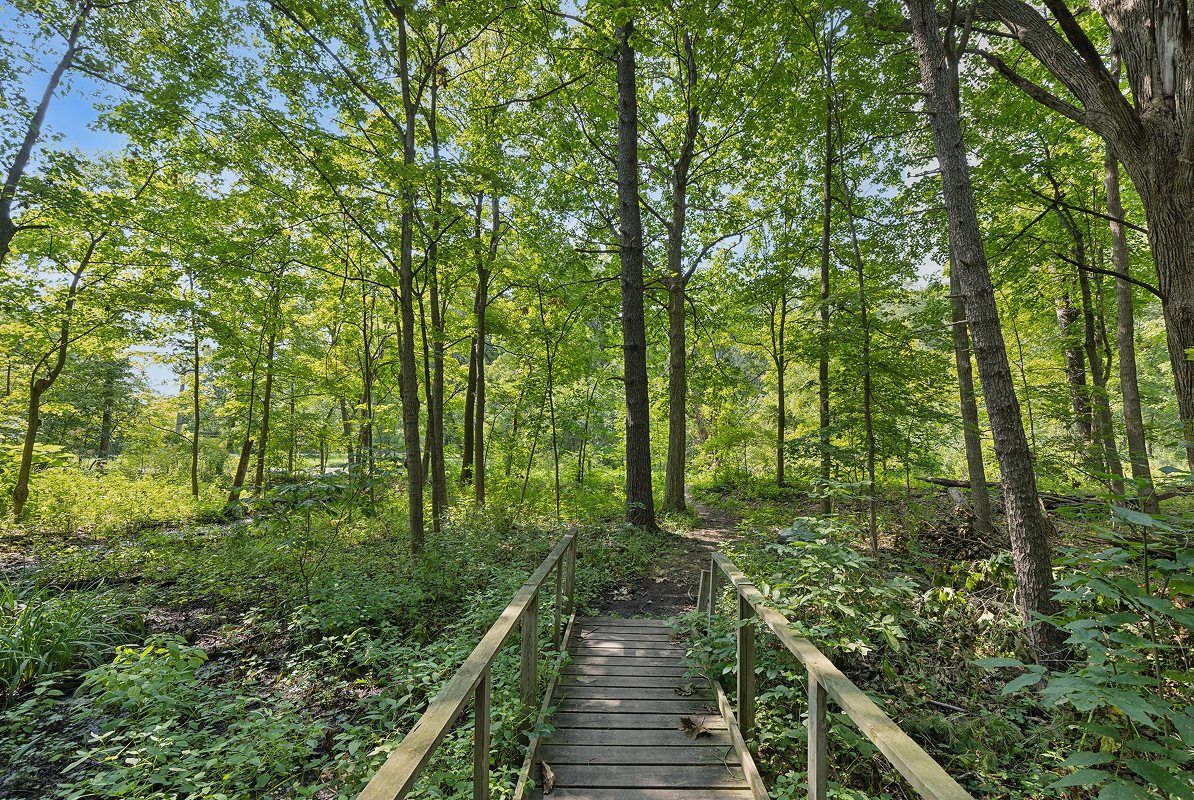 Lakewood Prairie