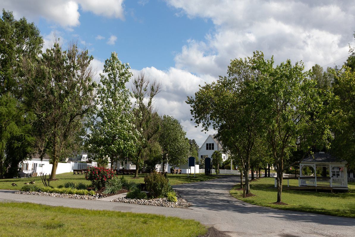 Sussex Cupala Park