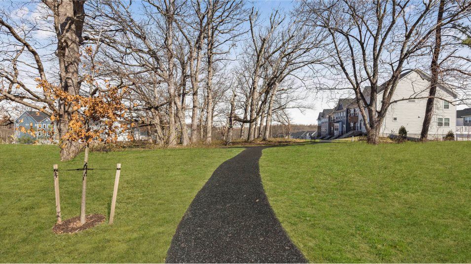 Patapsco Glen Trails Amenity