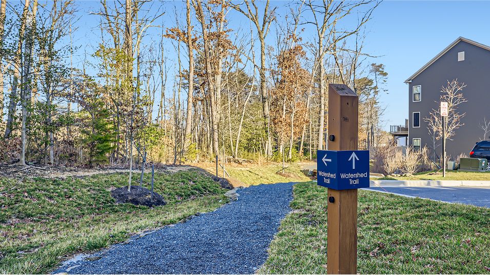 Watershed AA Amenity Trails