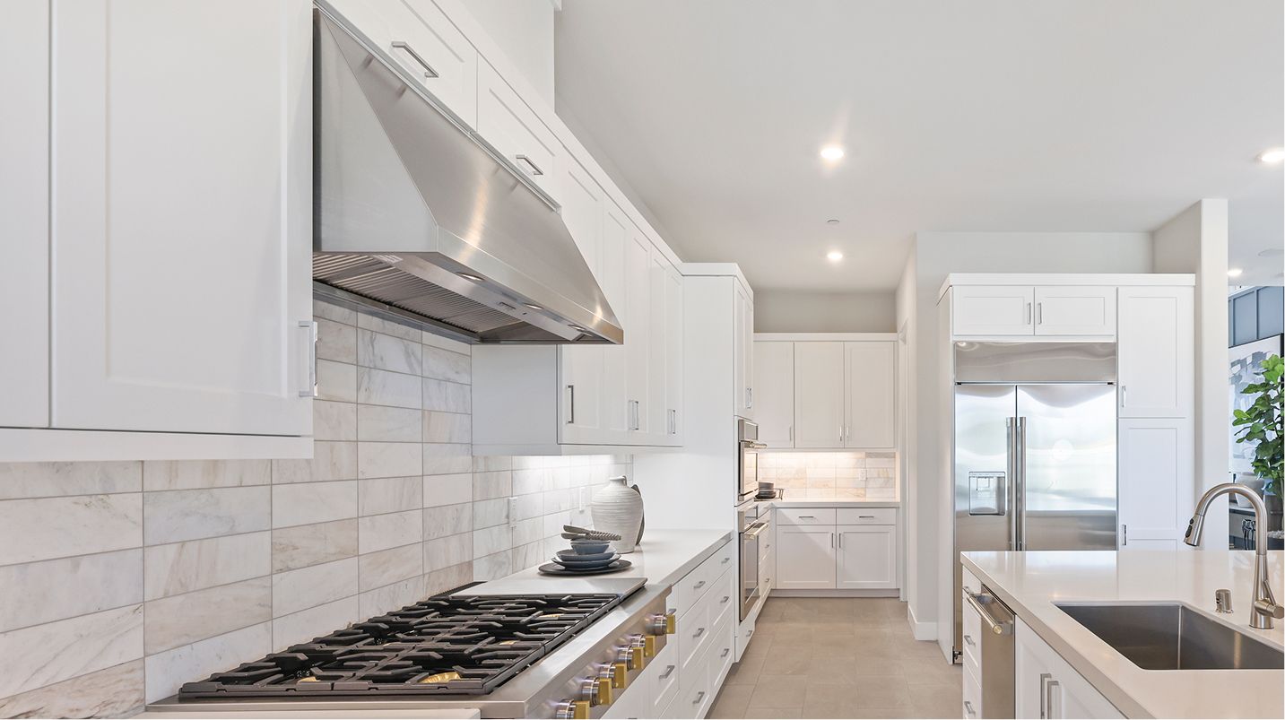 Amora Res2 Kitchen 4of8 F1