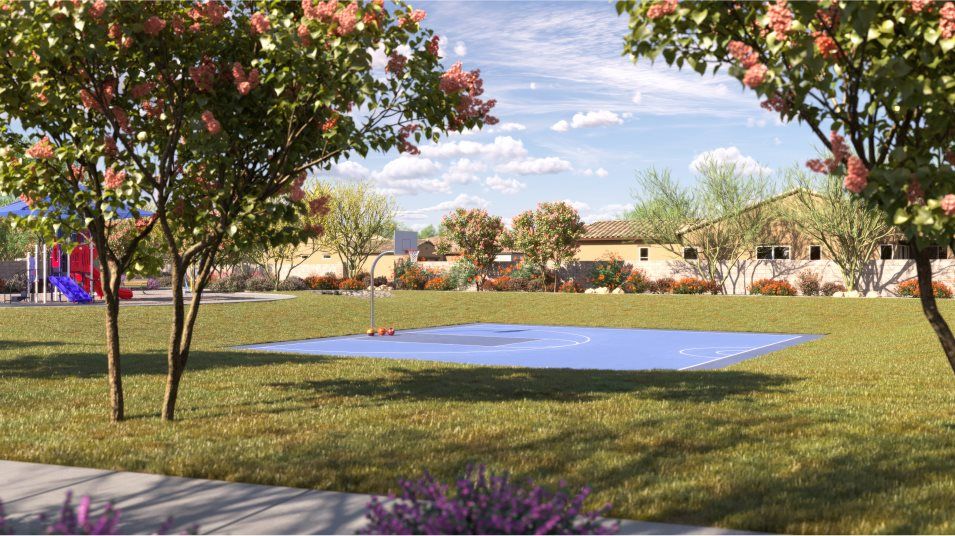 Basketball court in a grassy area