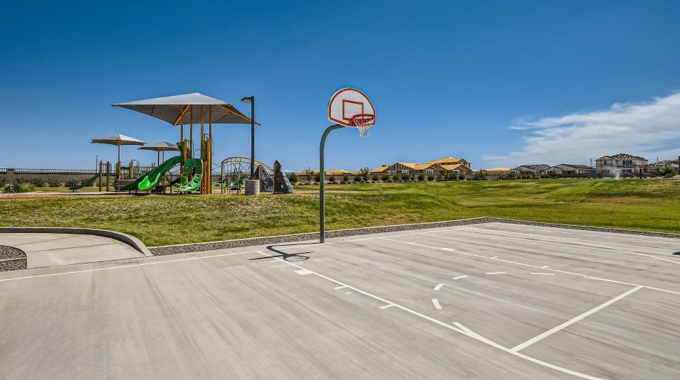 Basketball court