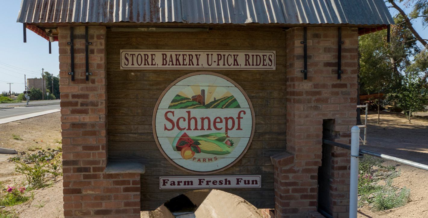 Schnepf Farms