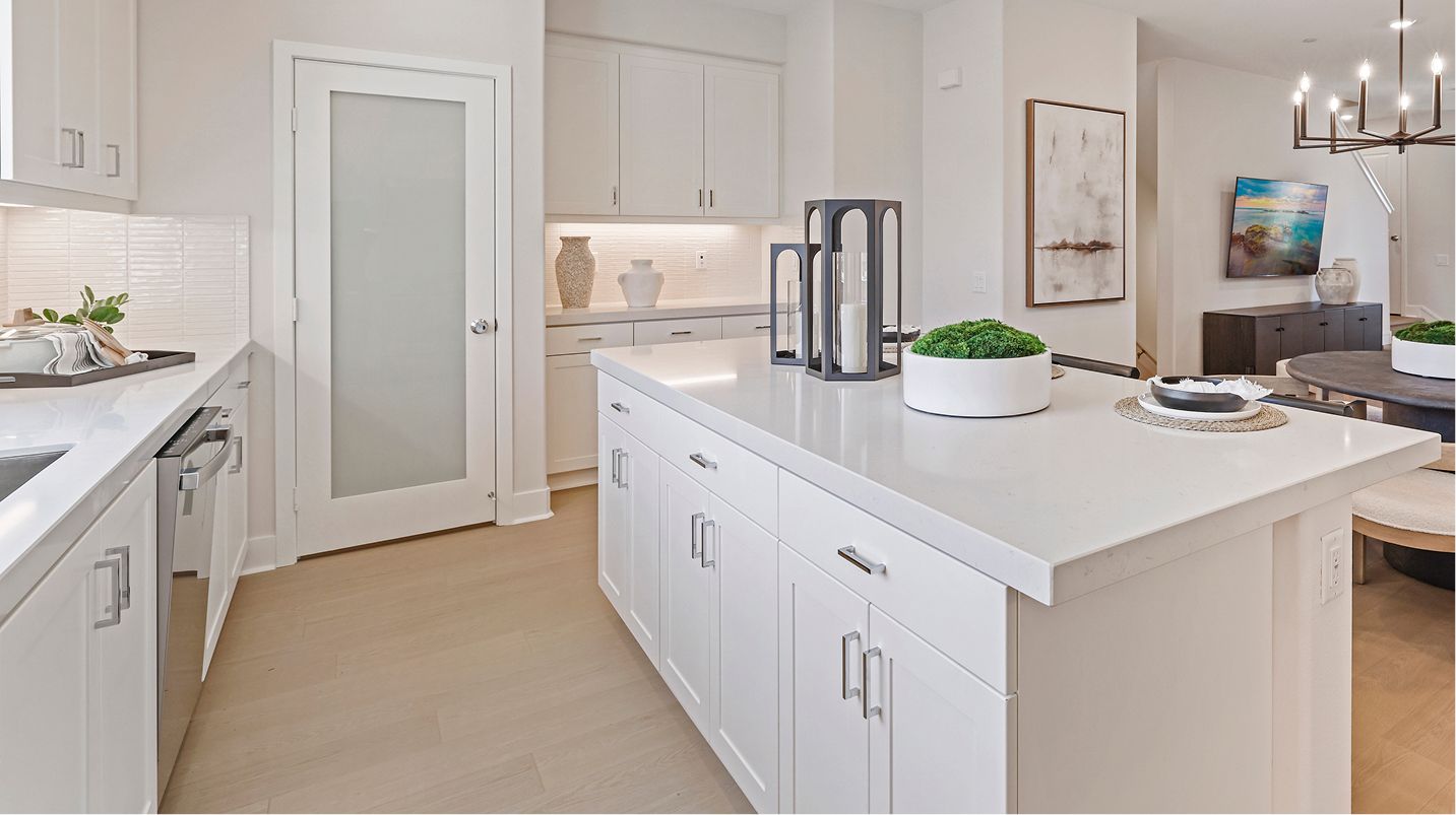 Brio Res2 Kitchen 3of5 F2