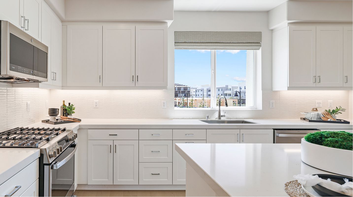 Brio Res2 Kitchen 5of5 F2