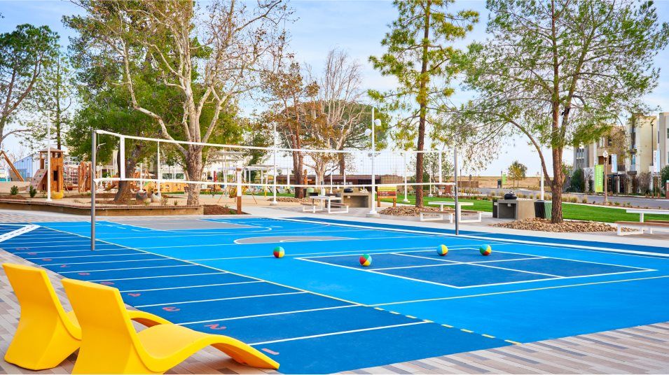Blue volleyball court