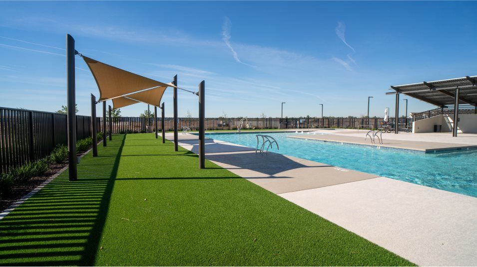 Grass area near pool