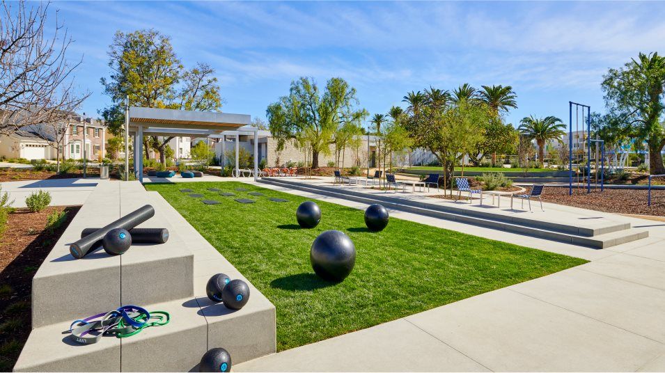 outdoor fitness lawn