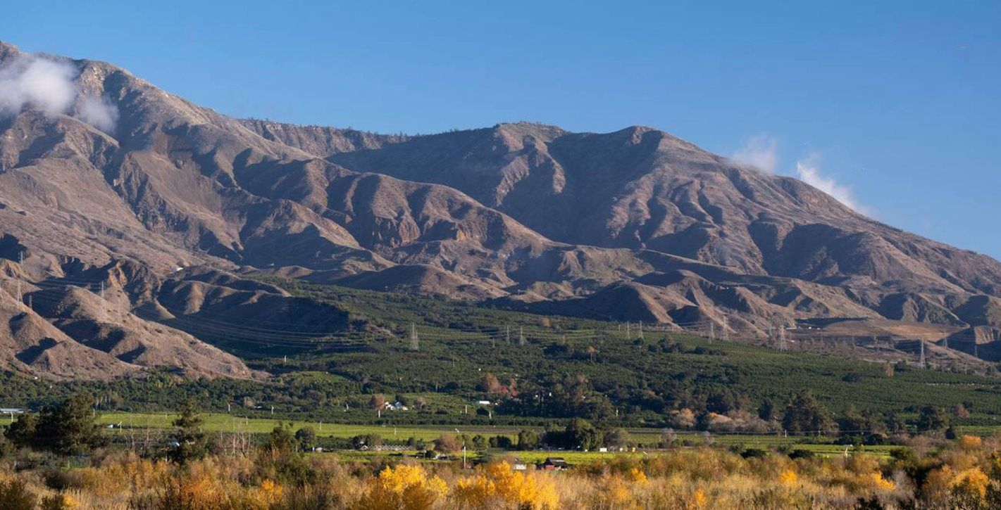 Orchard surrounded by mountains