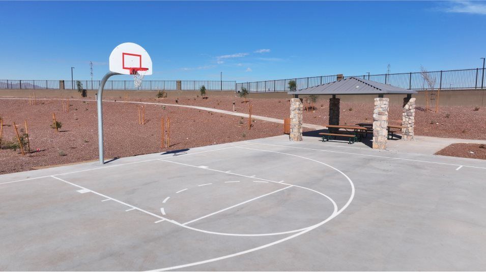 Basketball court