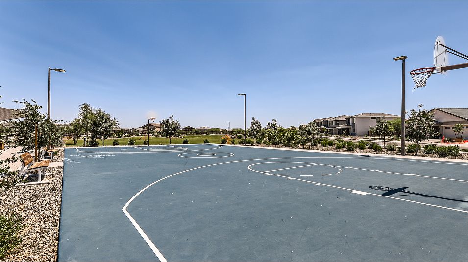 Iron Wing Windrose Amenity Basketball Court
