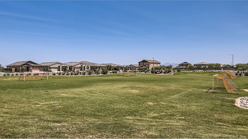 Iron Wing Windrose Amenity Park 1of2