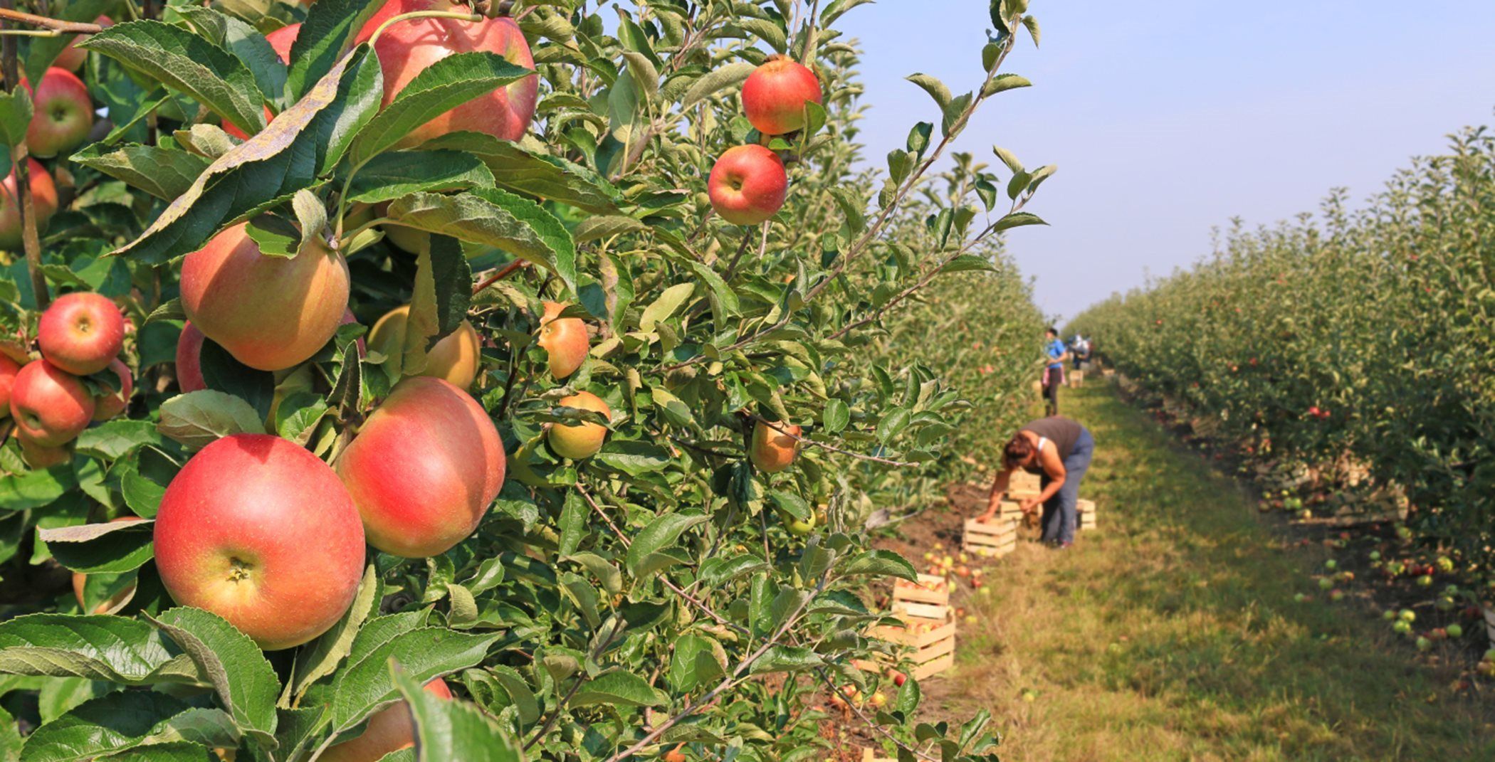 casa en Raglins Creek por Lennar