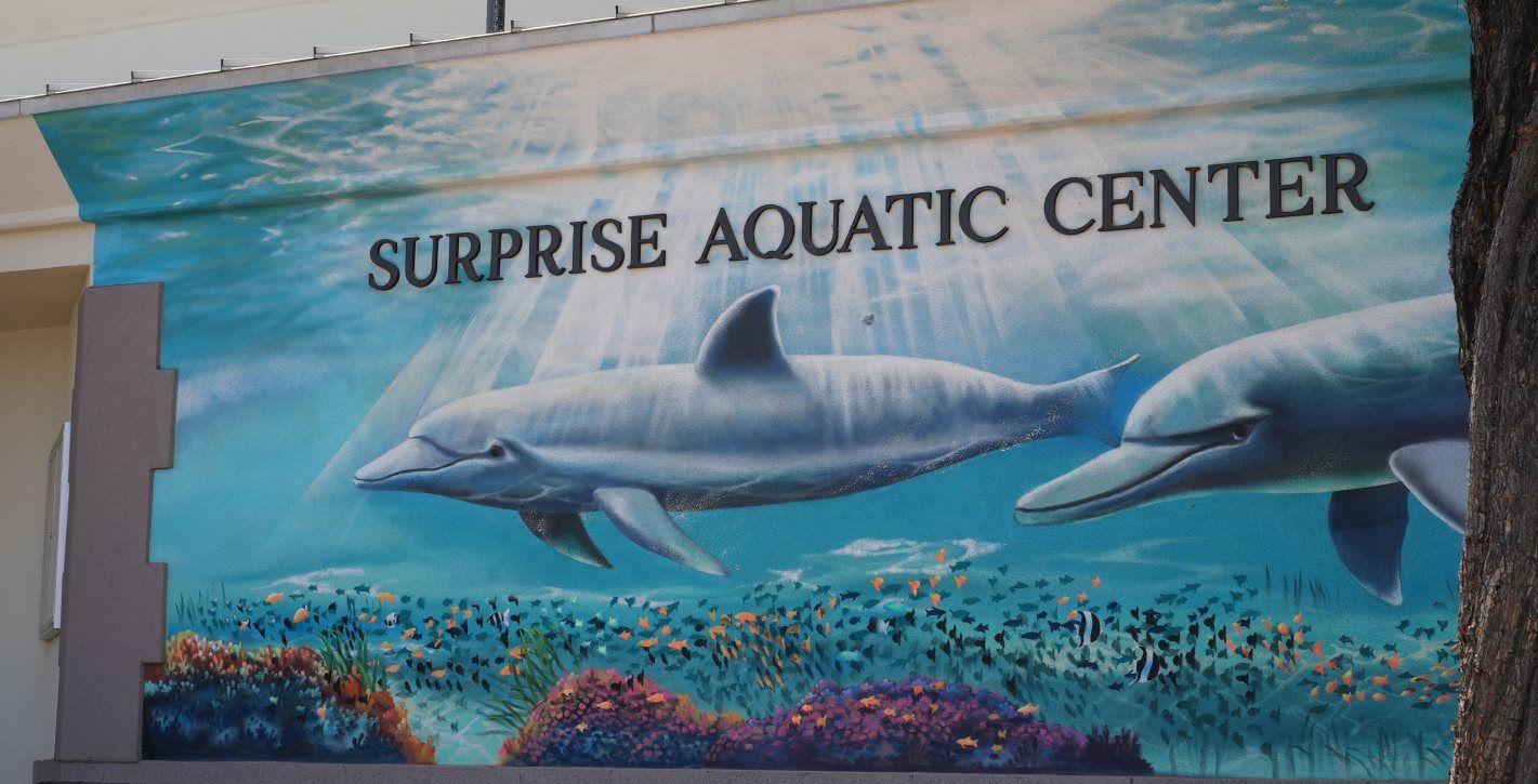 Aquatic center mural of dolphins