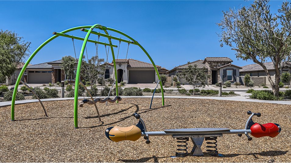 Iron Wing Windrose Amenity Tot Lot