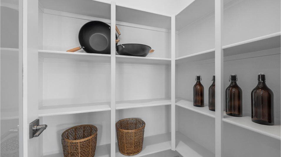 Shelving in the pantry