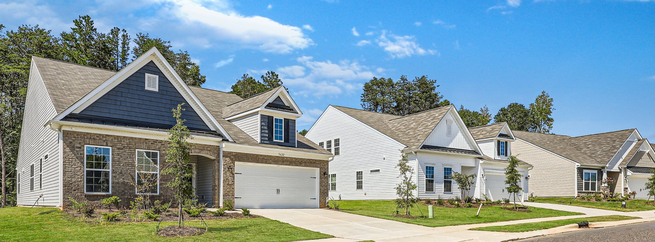 Shannon Woods Meadows