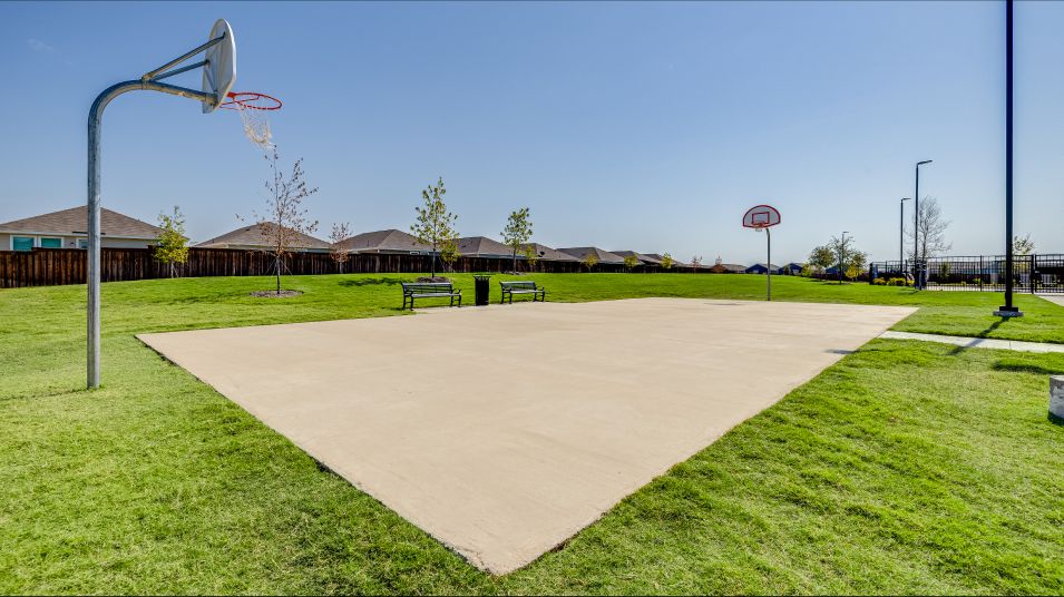 Basketball Courts