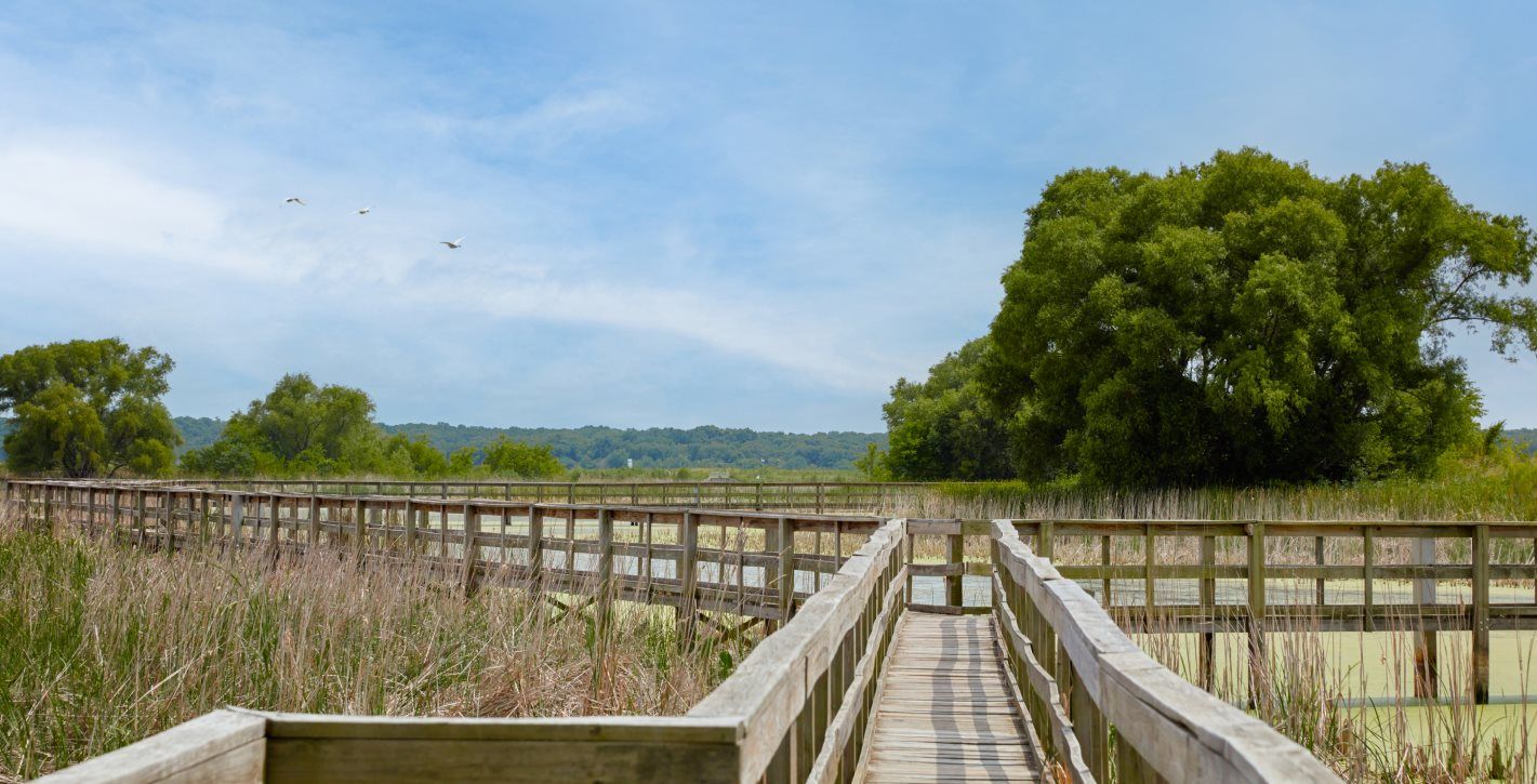 John Bunker Sands Wetland Center