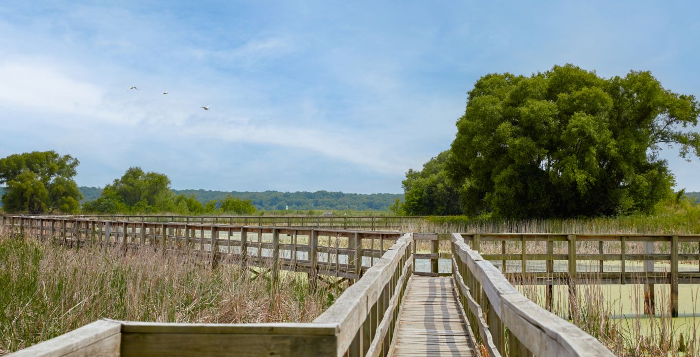 Wetlands Center