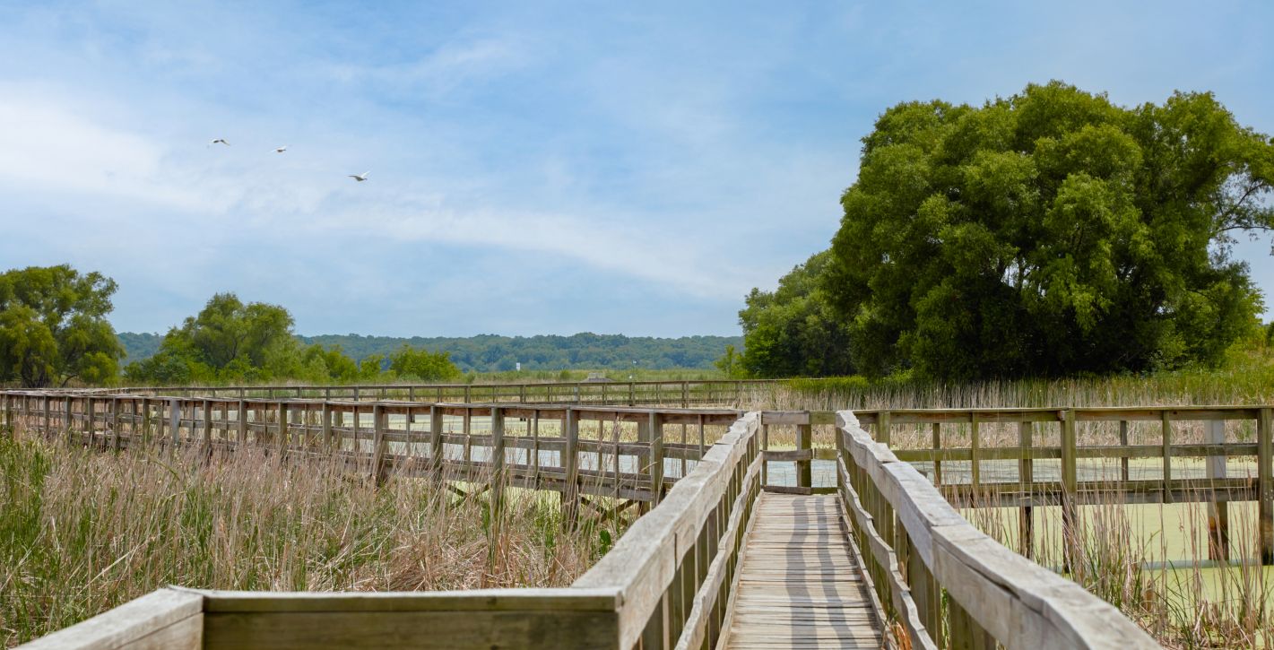 John Bunker Sands Wetland Center