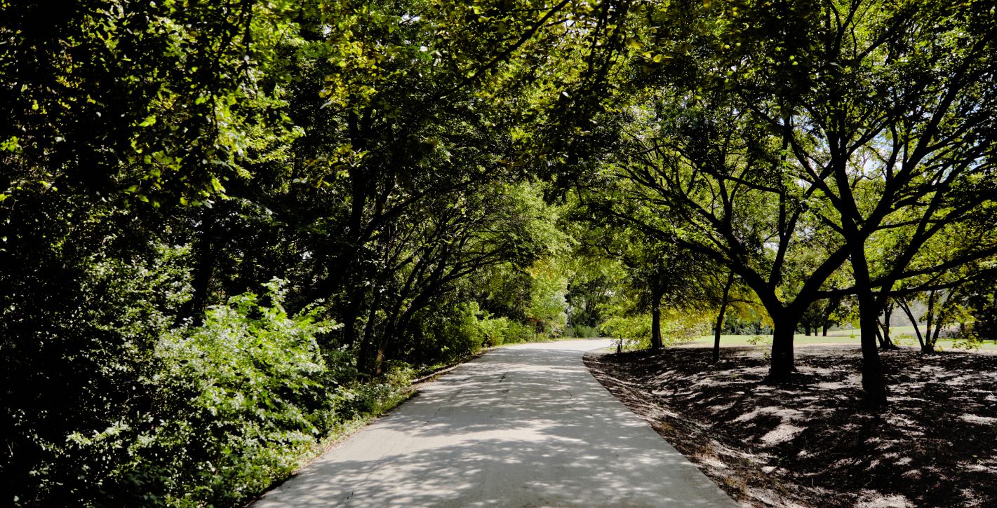 Local Trail