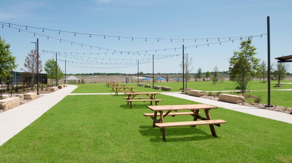 Bridgewater Amenity Picnic Area