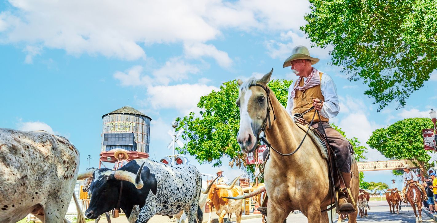 Cattle Drive