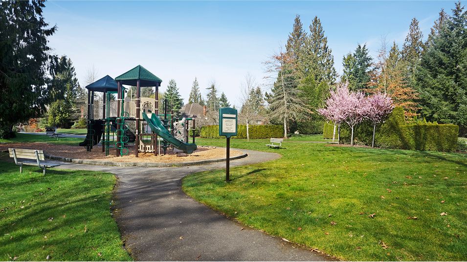 N Pic Activities Playground Park