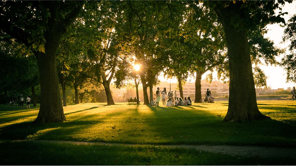 N Pic Activities Park Group