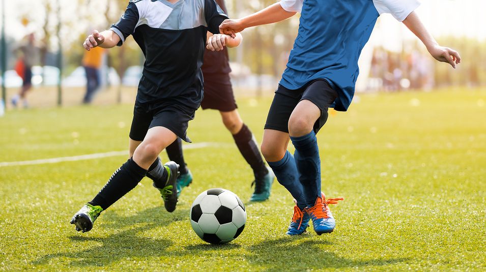 Soccer Field Stock Image