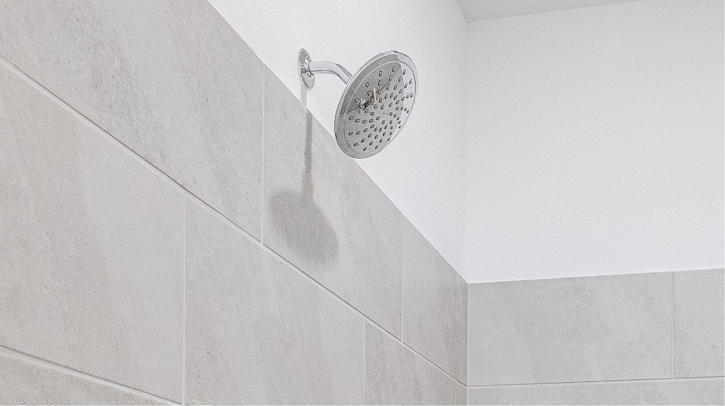 Divisional EI Chrome Shower Head