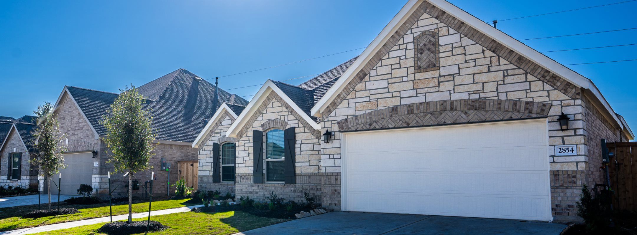 Bristol Cypress Green