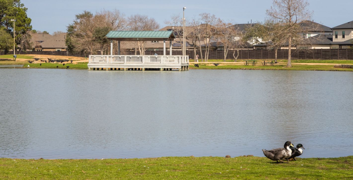 Local Park