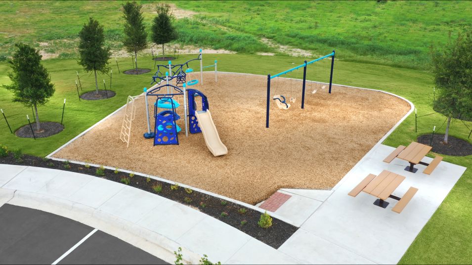 The Colony Playground