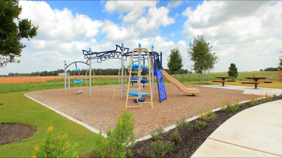 The Colony Playground