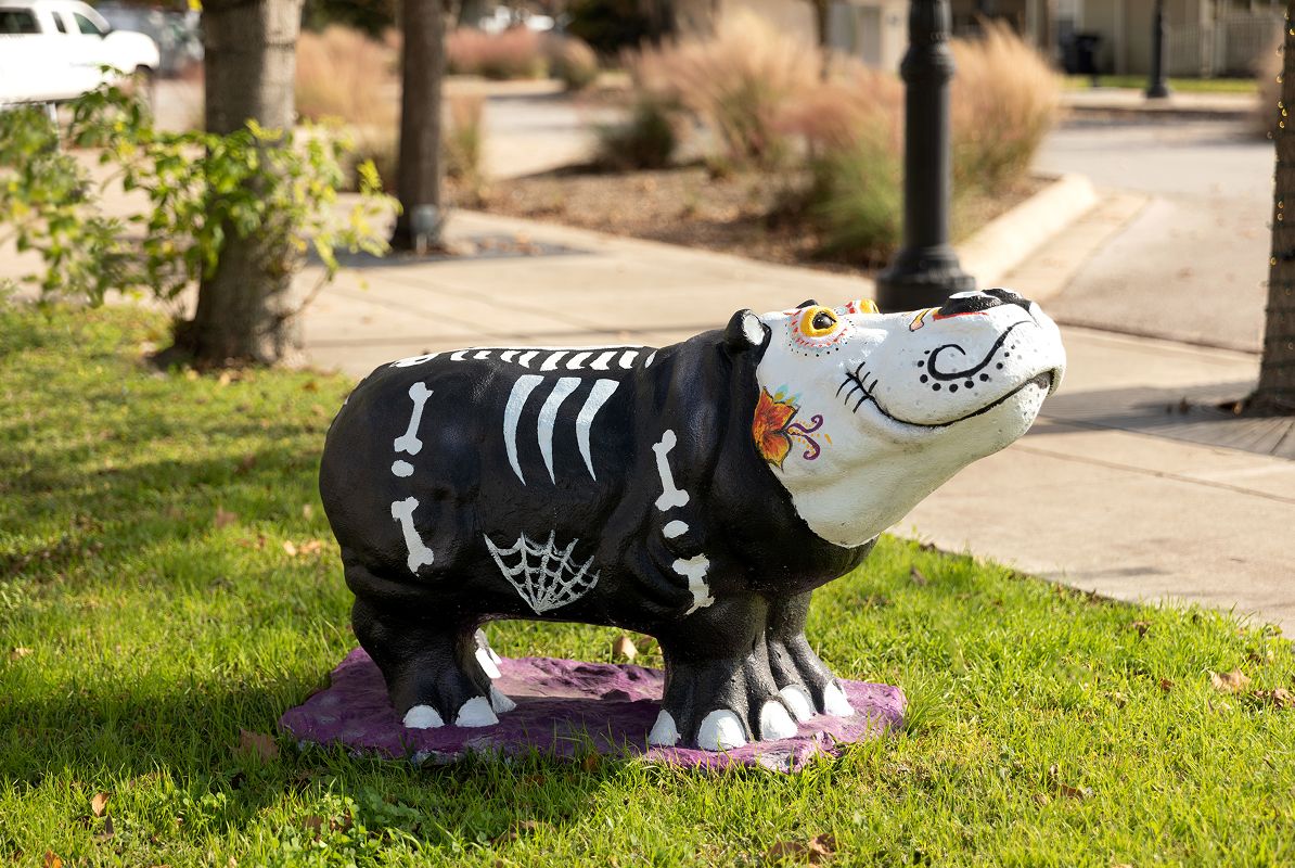 Winfield Park Hutto Hippos