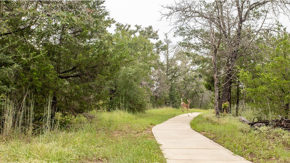 The Colony Amenity Trails