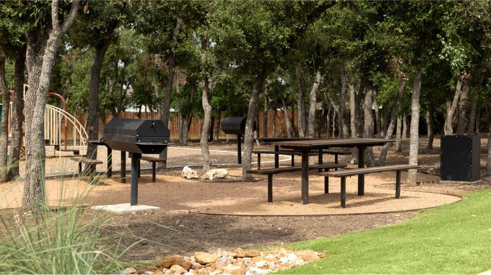 Lively Ranch
