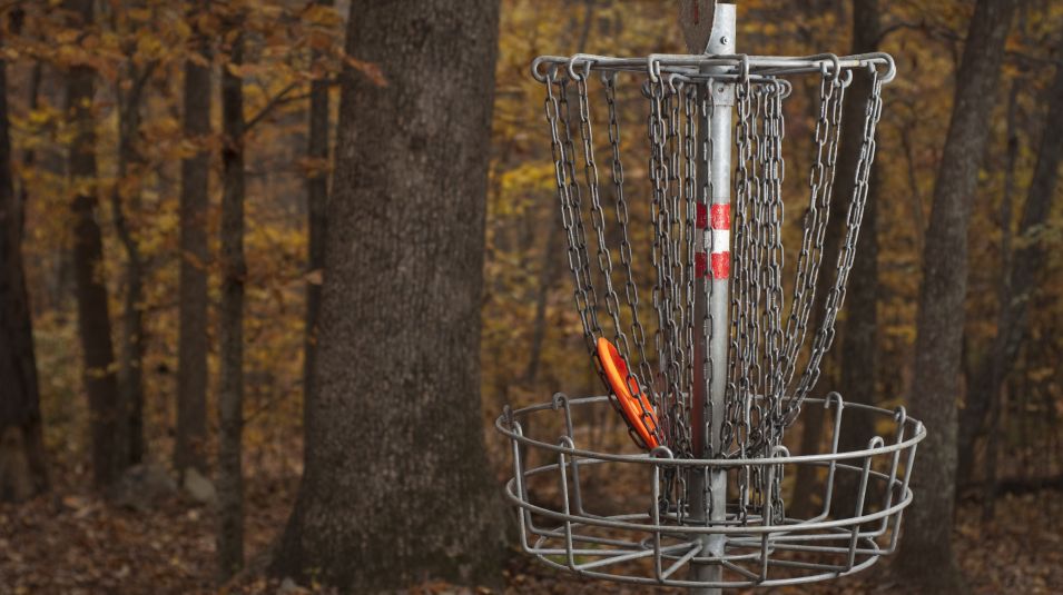 Disc Golf Stock Image