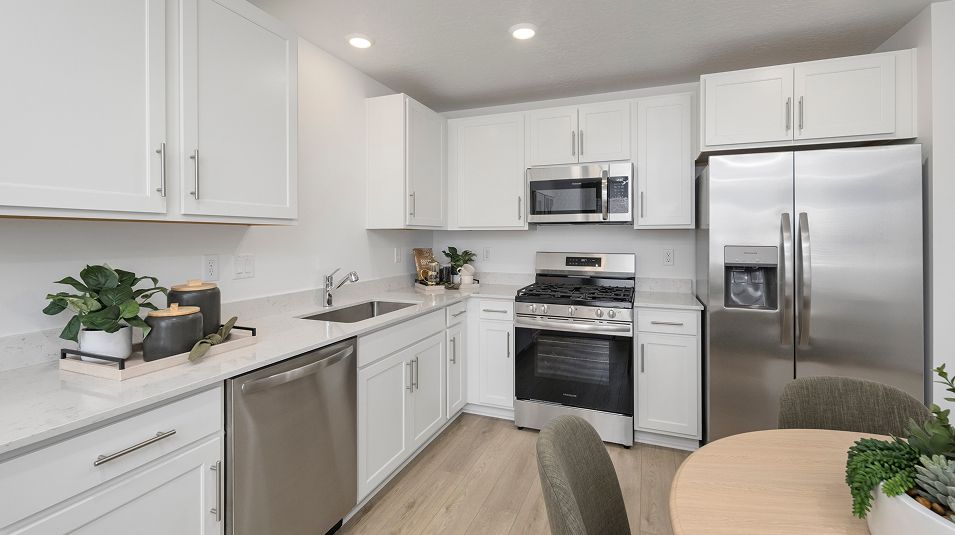 Silver Oaks EI Kitchen Appliances 1