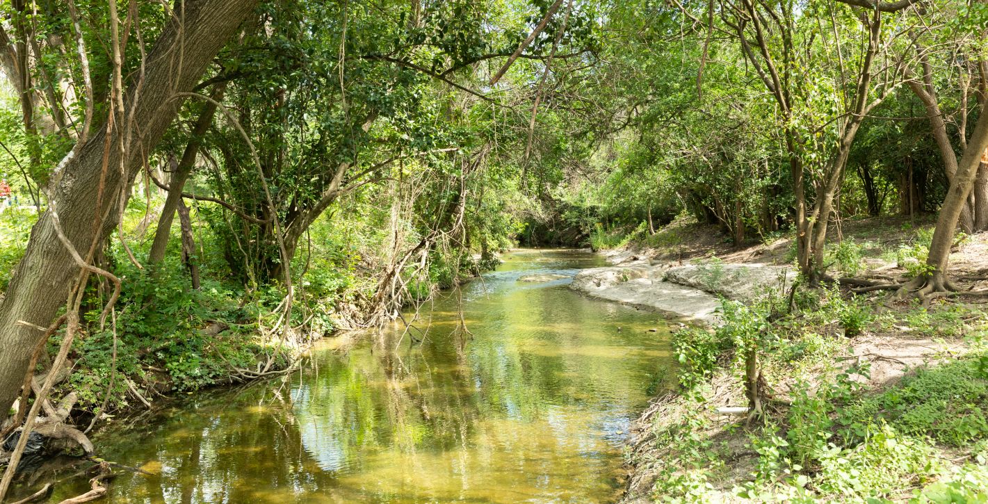 Local River