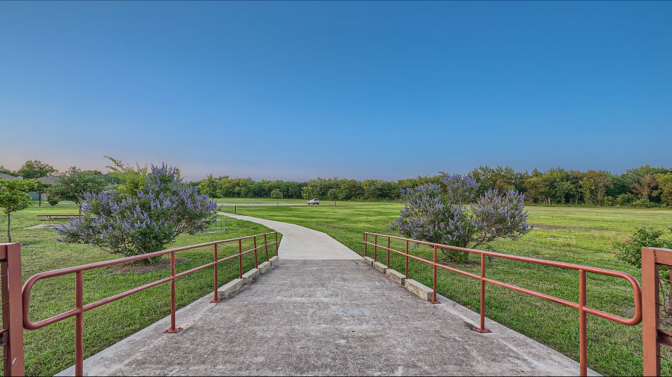 Cotton Brook Trails