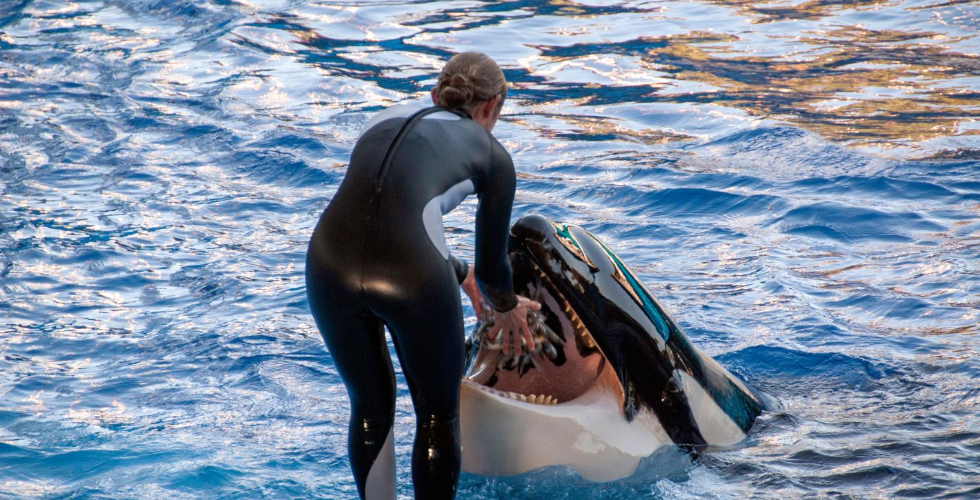 Sea World