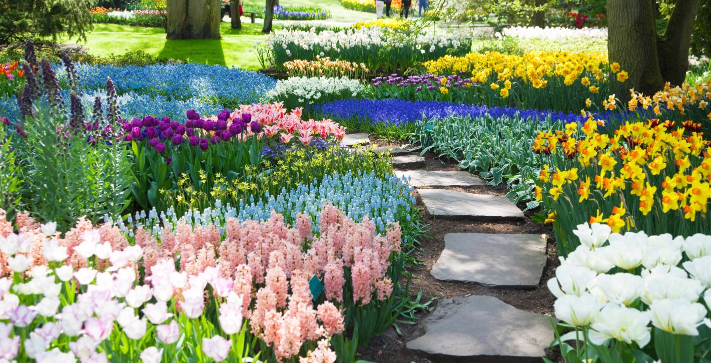 Botanical Garden