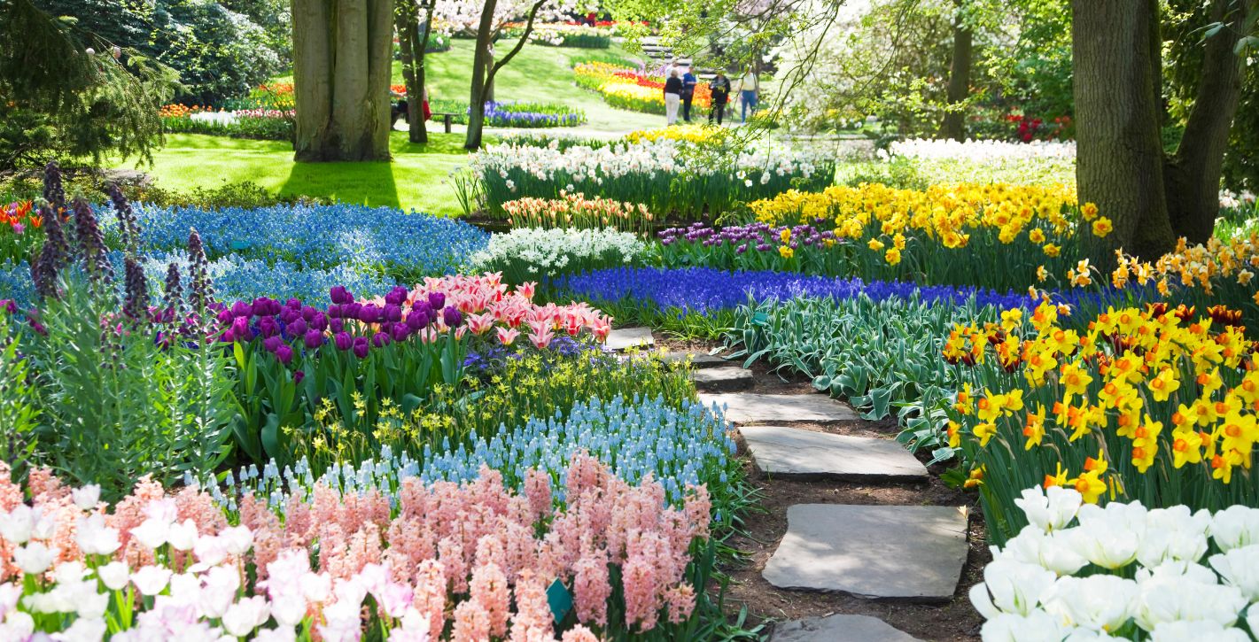 Botanical Garden